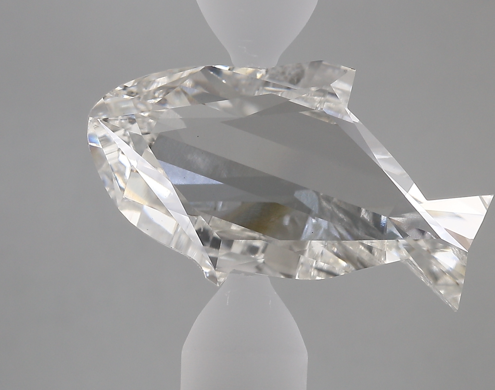7.64ct F VS1 Dolphin (IGI)