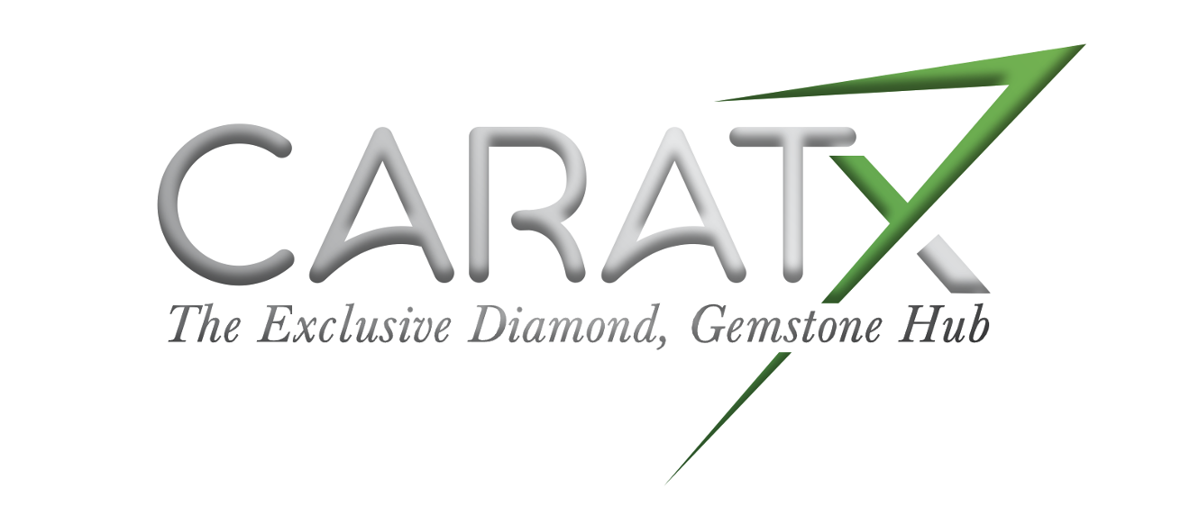 CaratX Faces Off Against Rising Online Seller Costs & Launches B2B Payments