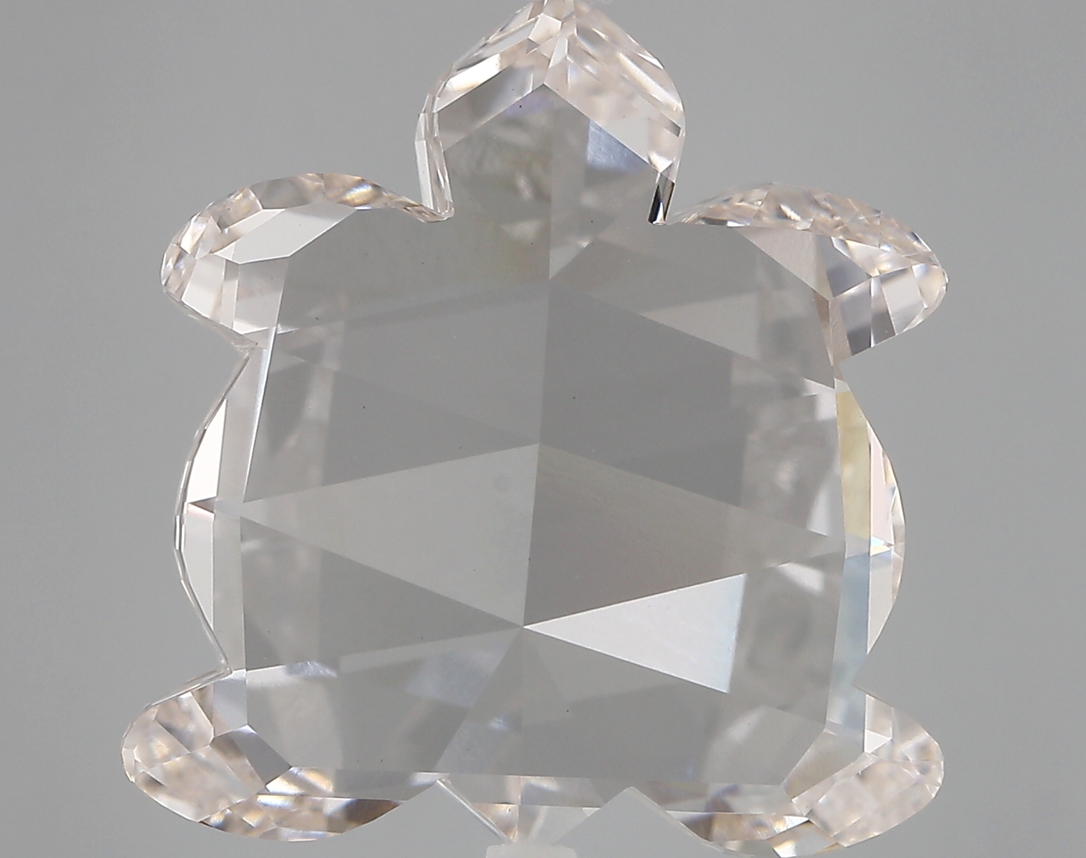 12.73ct H VVS2 Turtle (IGI)