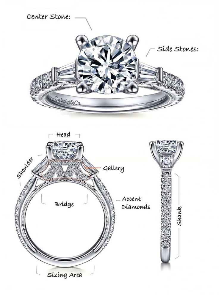 The Ultimate Guide to the Anatomy of a Ring: Understanding Every Part Before You Buy