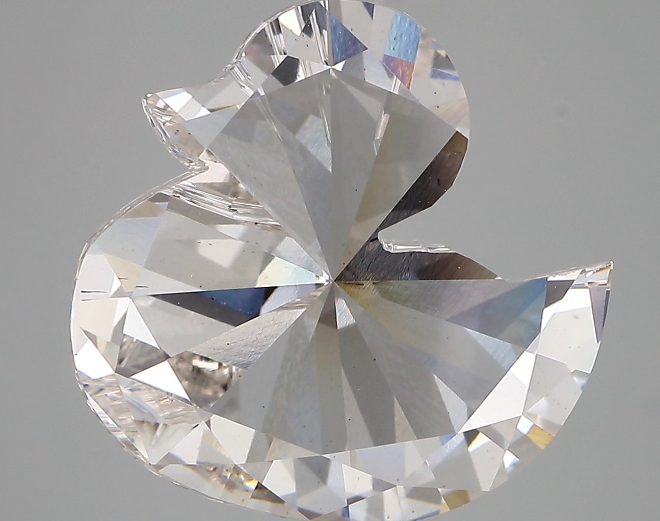 6.85ct G VS2 Duck (IGI)