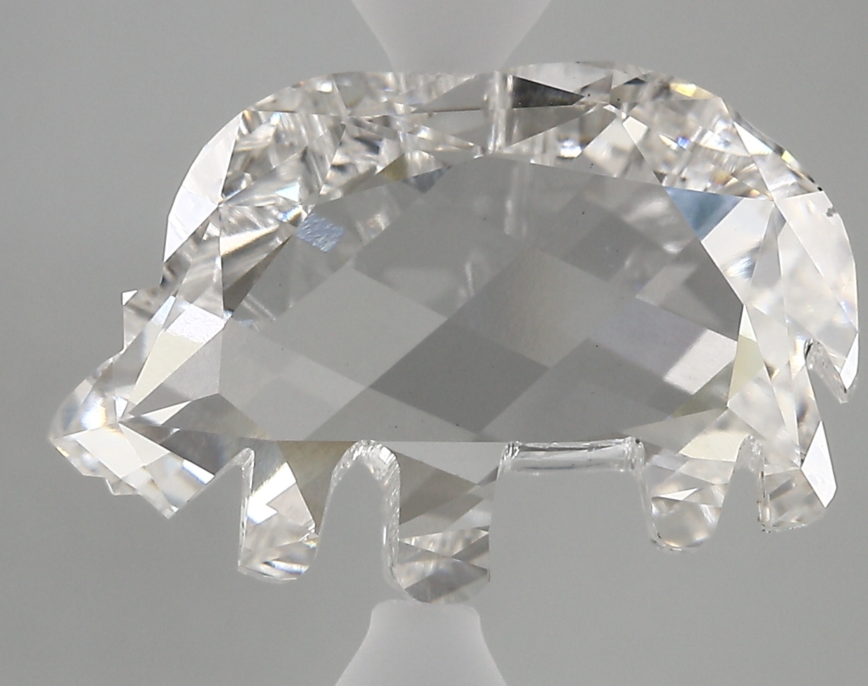 8.17ct F VS1 Rhinoceros (IGI)