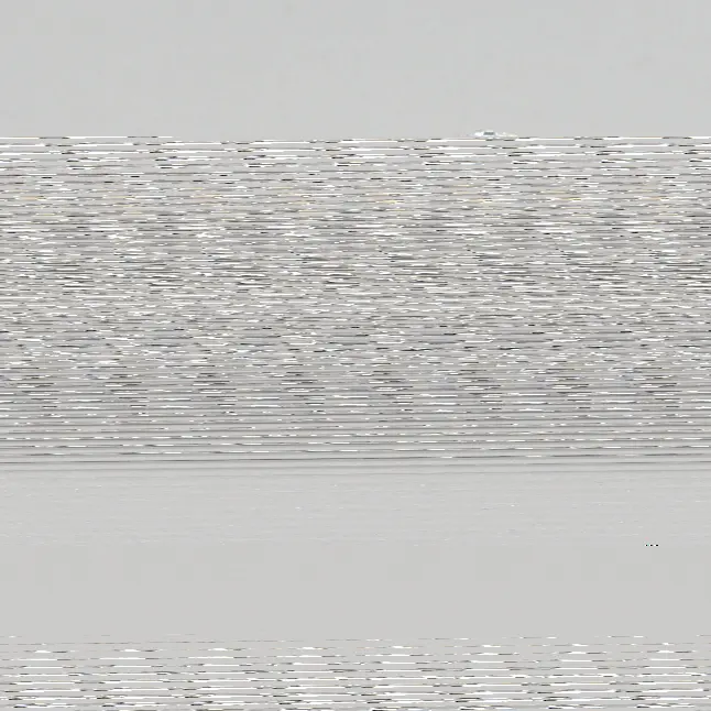 0.92ct E VVS1 Cushion (IGI)