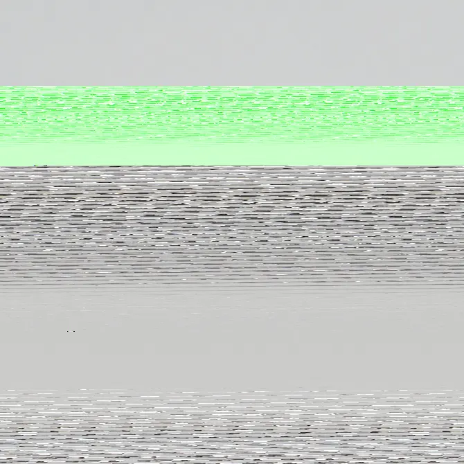 0.91ct F VS2 Oval (IGI)