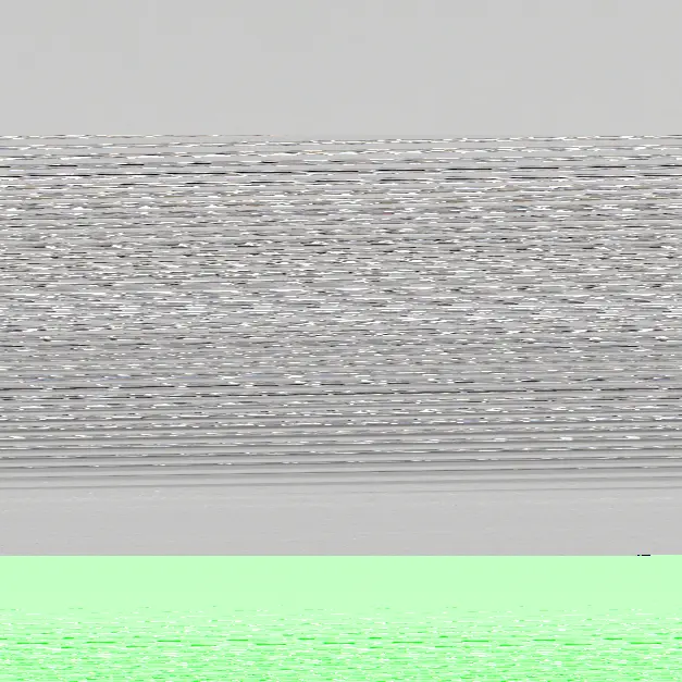 0.77ct E VS1 Cushion (IGI)