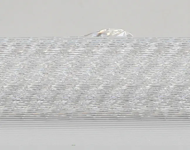 0.73ct D VVS2 Cushion (IGI)
