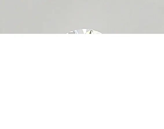 0.47ct D VVS1 Round (IGI)