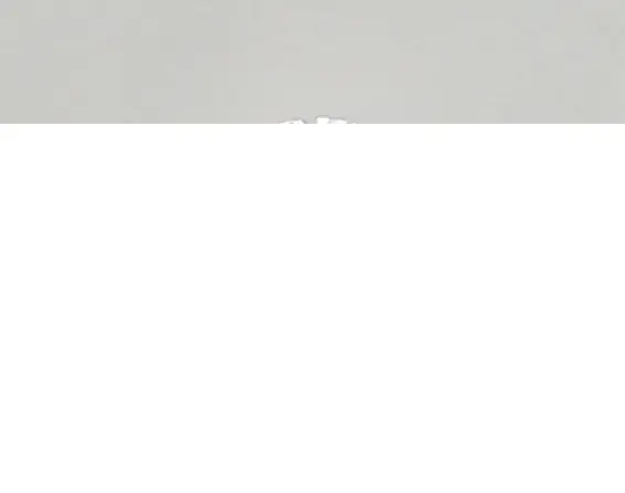 0.43ct D VVS1 Round (IGI)