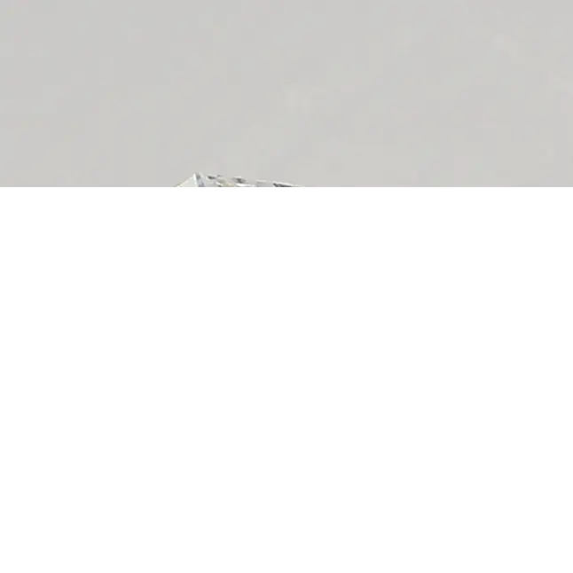 0.33ct E VVS2 Radiant (IGI)