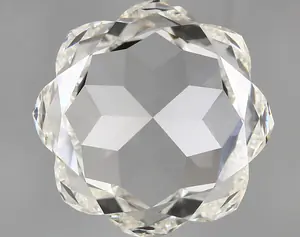 15.71ct I VVS2 Flower (IGI)