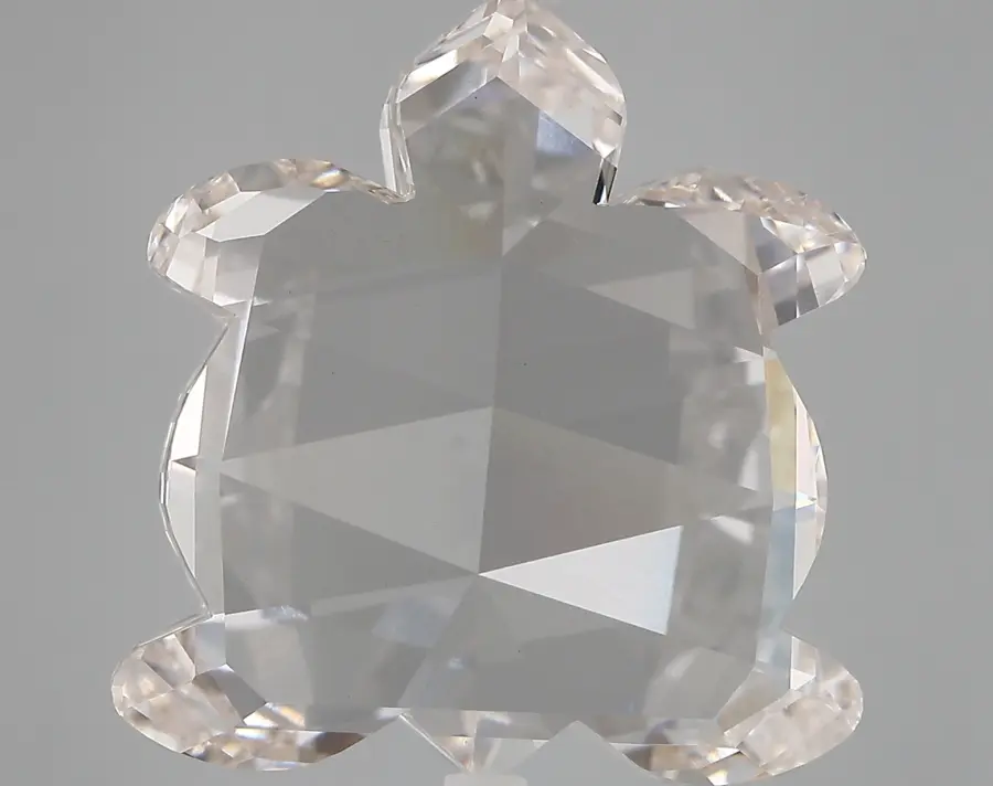 12.73ct H VVS2 Turtle (IGI)