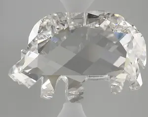 8.17ct F VS1 Rhinoceros (IGI)