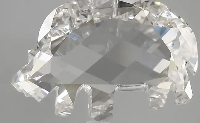 8.17ct F VS1 Rhinoceros (IGI)