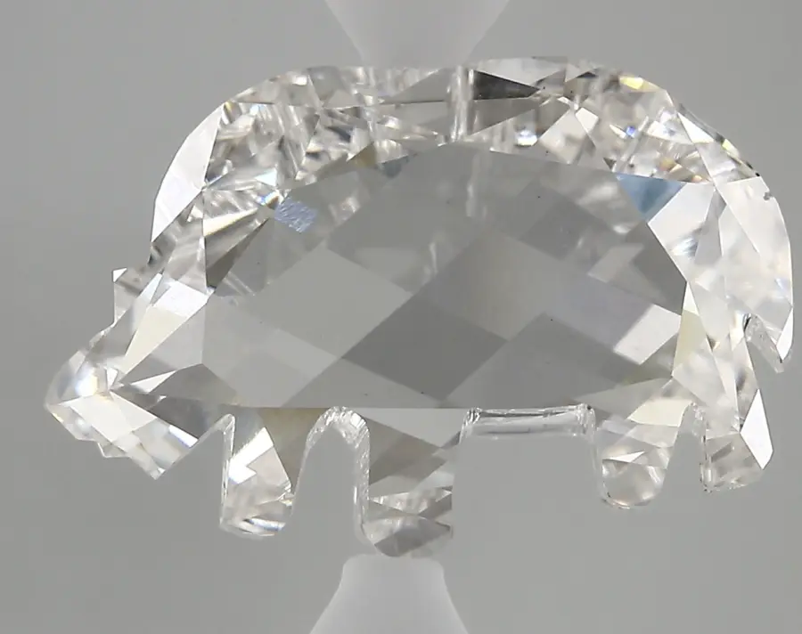 8.17ct F VS1 Rhinoceros (IGI)