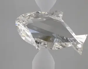 7.64ct F VS1 Dolphin (IGI)