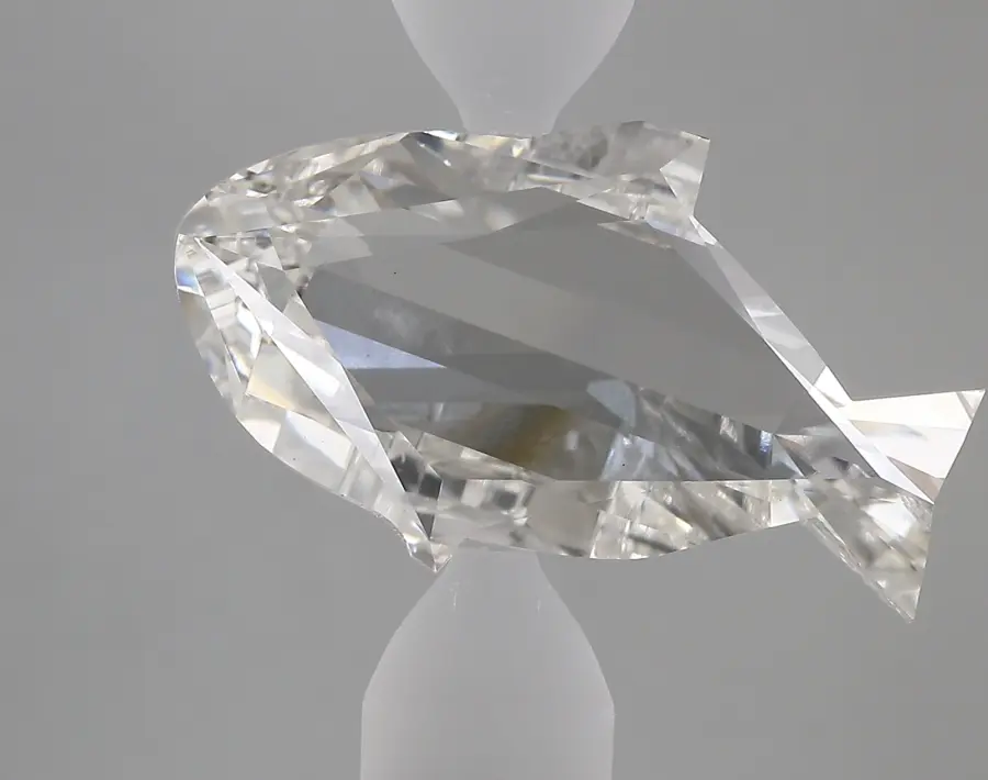 7.64ct F VS1 Dolphin (IGI)