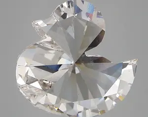 6.85ct G VS2 Duck (IGI)
