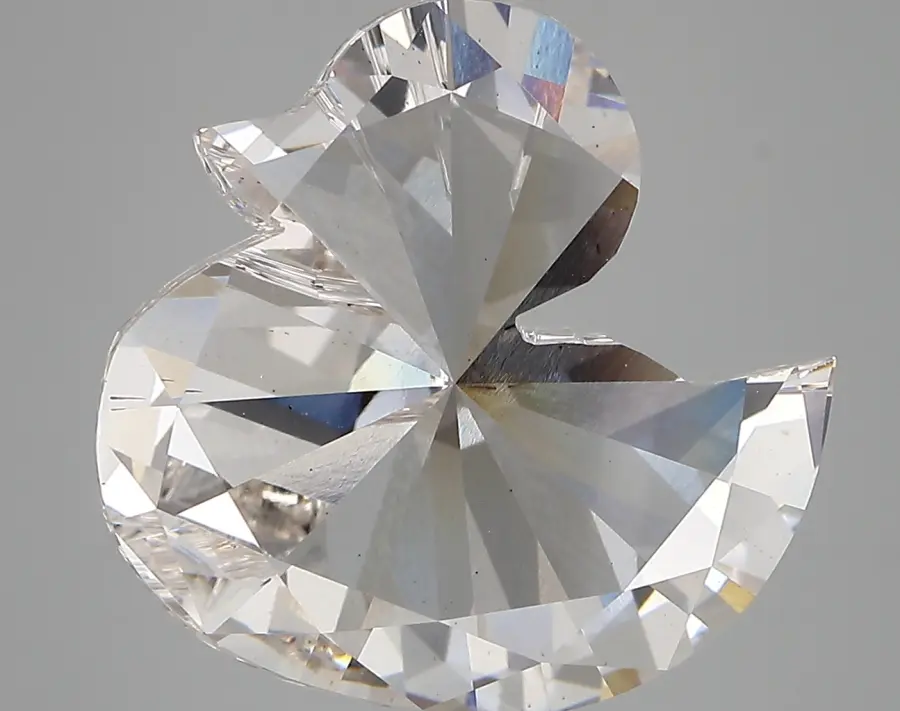 6.85ct G VS2 Duck (IGI)