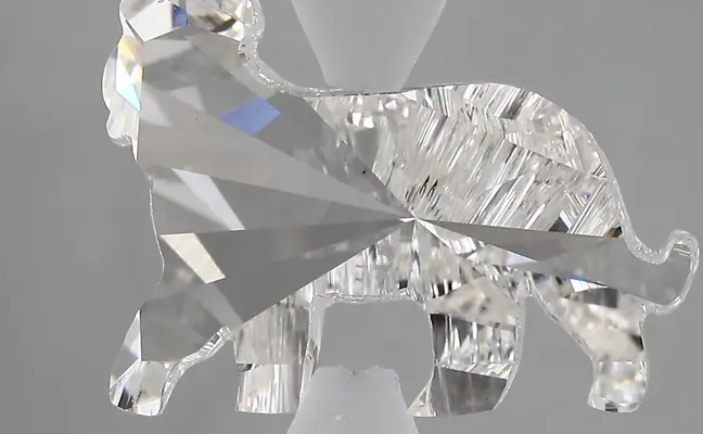5.26ct F VS1 Tiger (IGI)