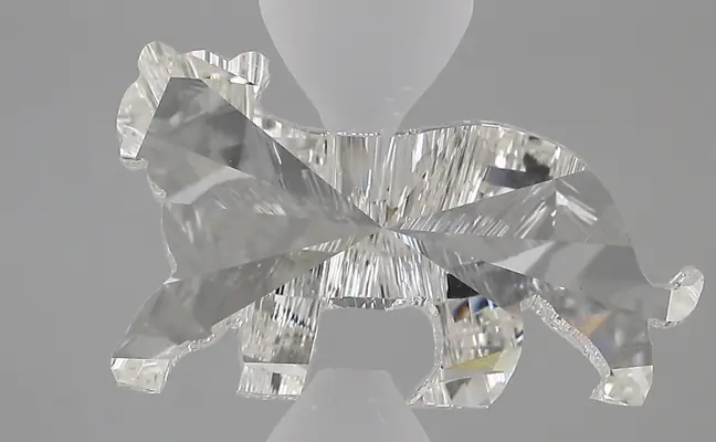 4.22ct G VS1 Tiger (IGI)