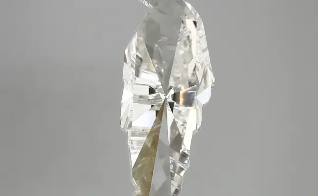 4.05ct H VS1 Sardar Vallabh Bhai Patel (IGI)