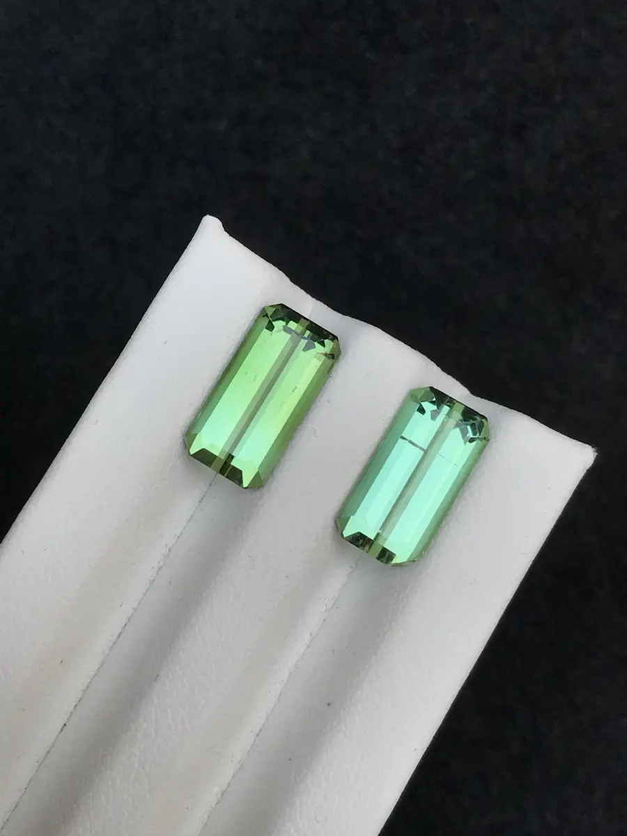 Tourmaline pair