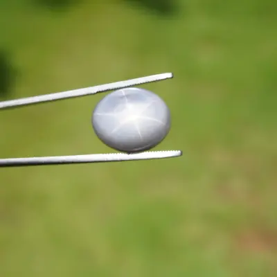 29 ct Gray Star Sapphire