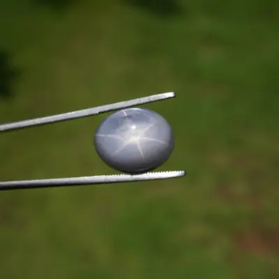 29 ct Gray Star Sapphire