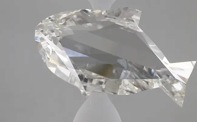 7.64ct F VS1 Dolphin (IGI)